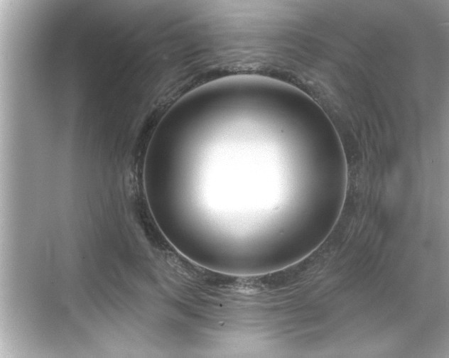 X0000069360743200605150916