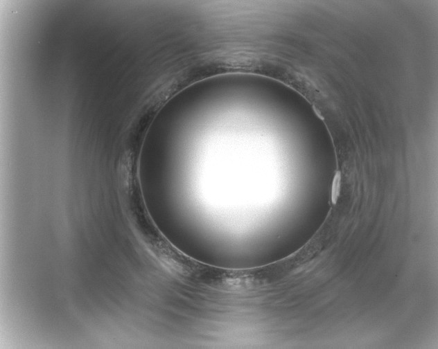 X0000069360744200605150916