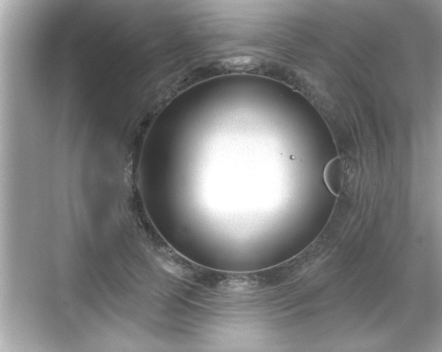 X0000069360745200605150916