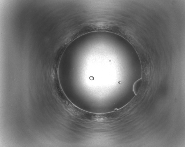 X0000069360746200605150916