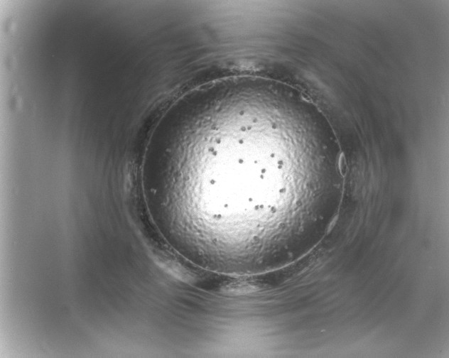 X0000069360747200605150916