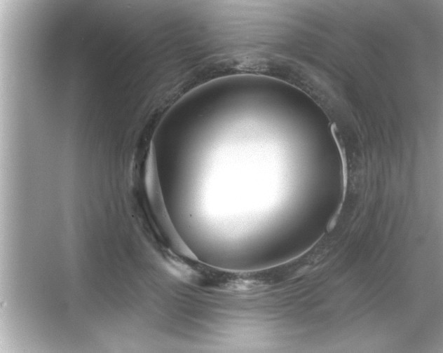 X0000069360748200605150916