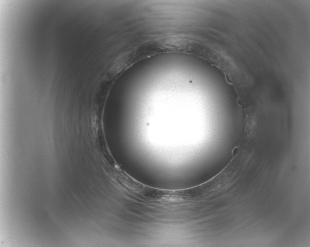 X0000069360749200605150916