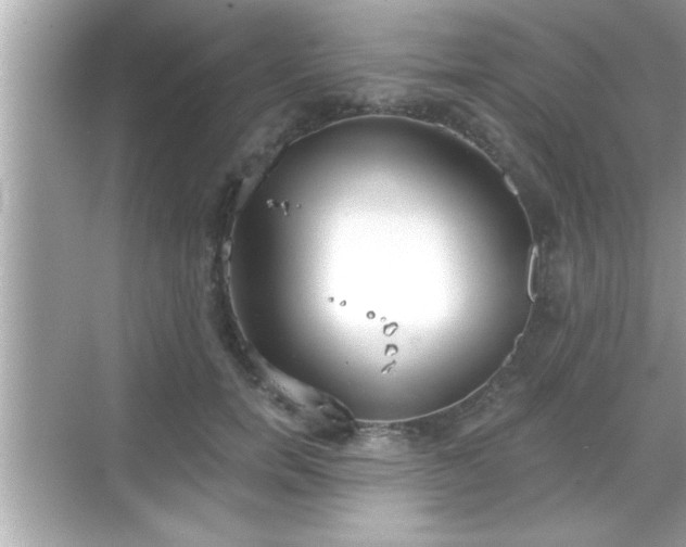 X0000069360750200605150916