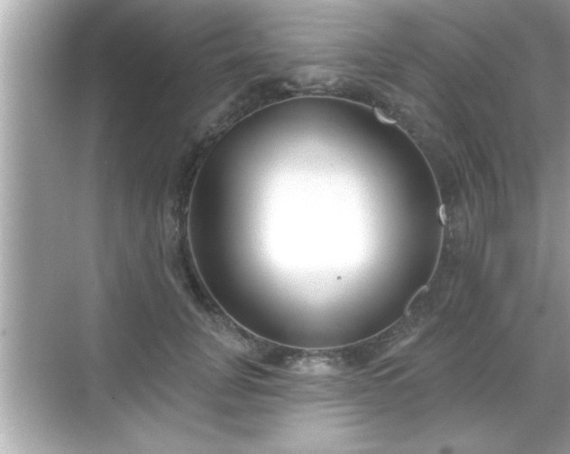 X0000069360751200605150916