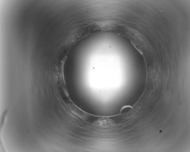 X0000069360752200605150916