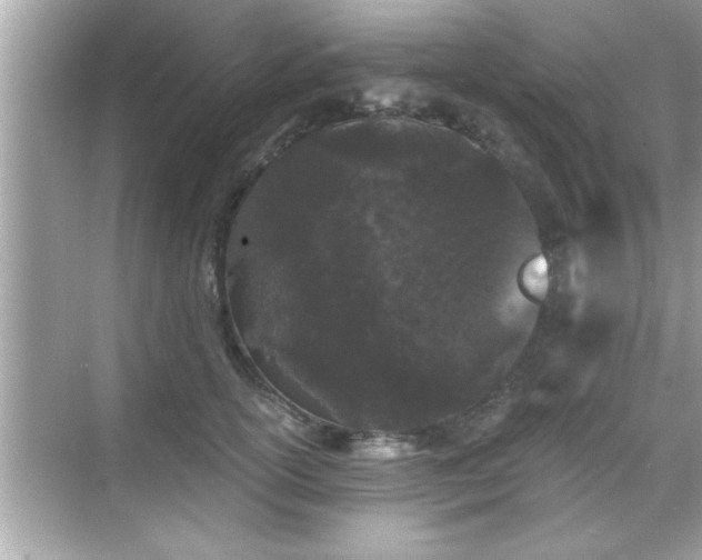 X0000069360754200605150916