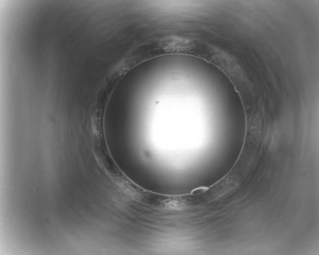 X0000069360755200605150916