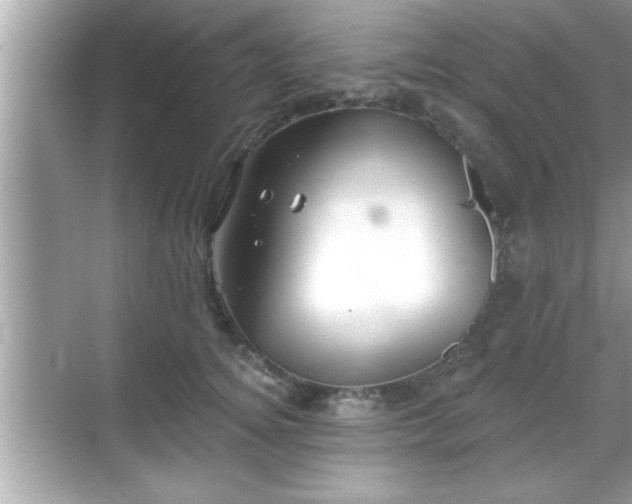 X0000069360756200605150916