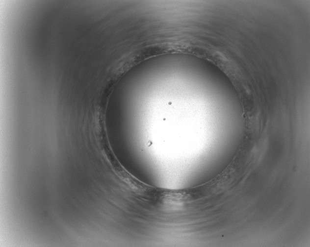 X0000069360757200605150916