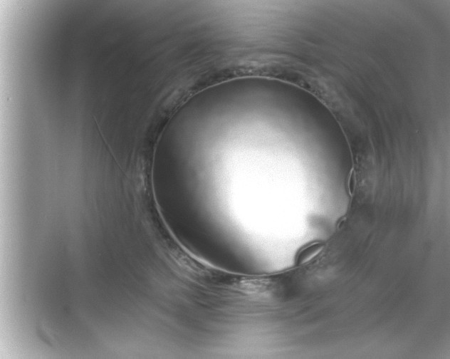 X0000069360758200605150916