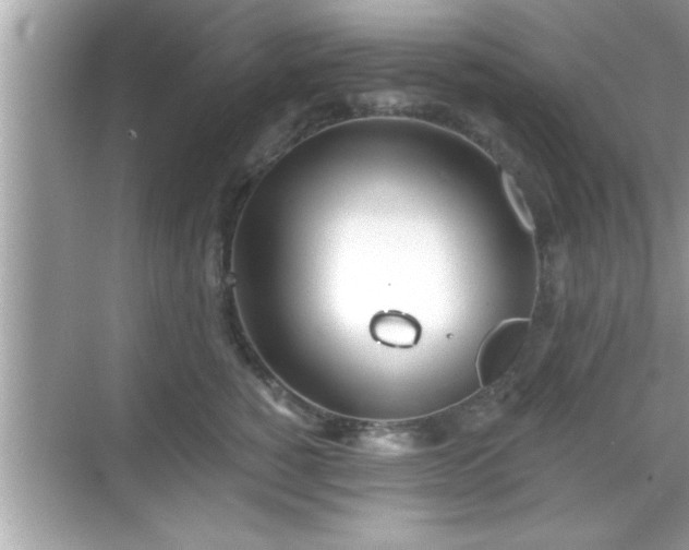 X0000069360760200605150916