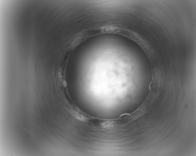 X0000069360761200605150916