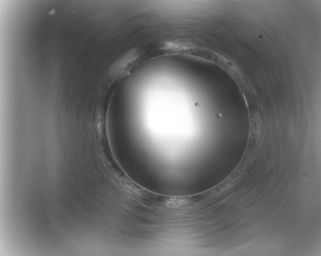 X0000069360762200605150916