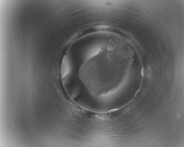 X0000069360763200605150916