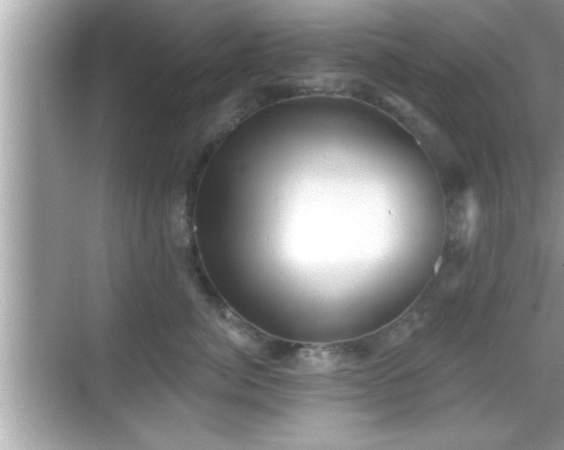 X0000069360764200605150916