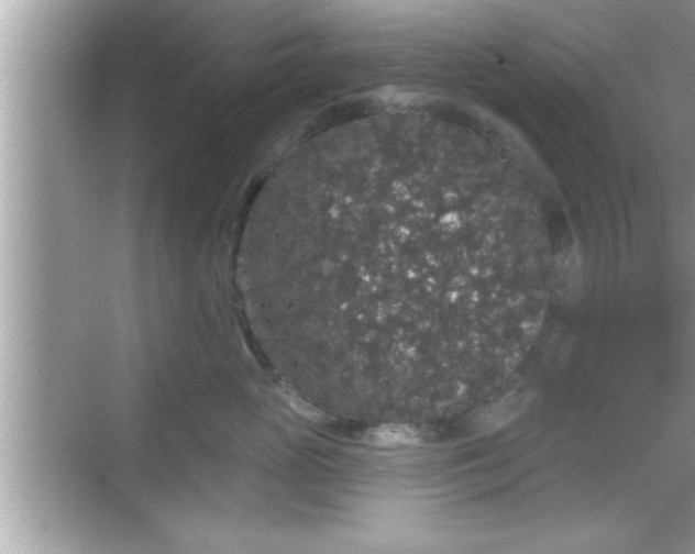 X0000069360765200605150916