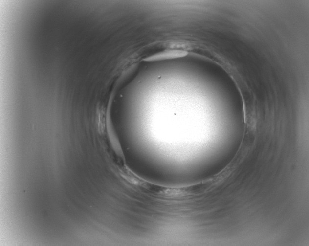 X0000069360766200605150916