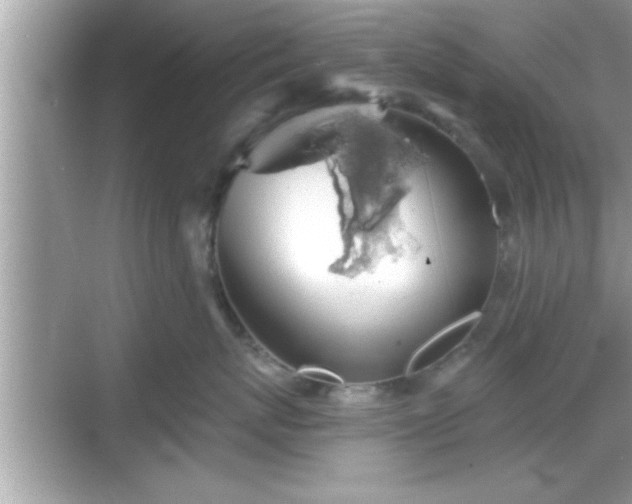 X0000069360767200605150916