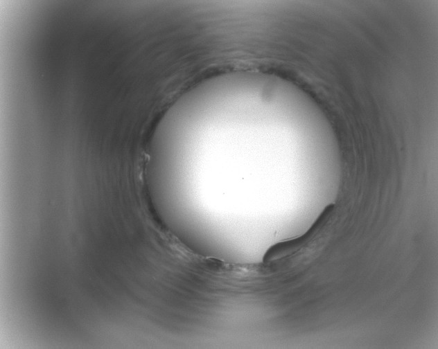 X0000069360768200605150916