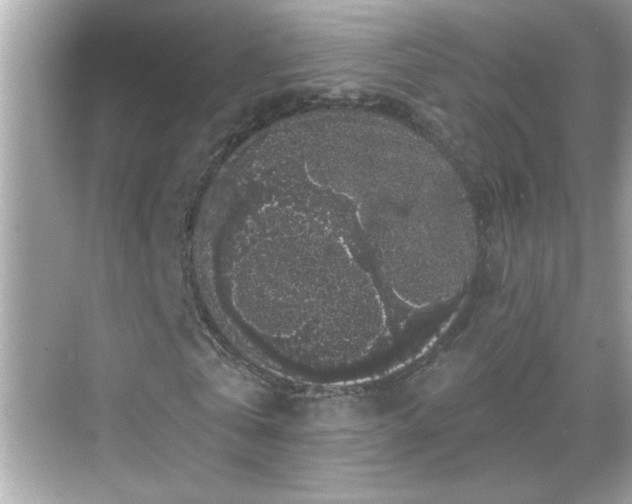 X0000069360769200605150915