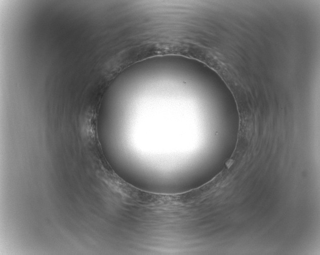 X0000069360770200605150915