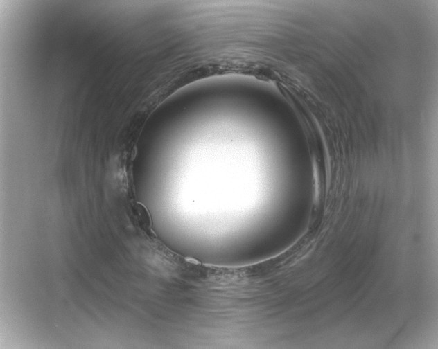 X0000069360771200605150915