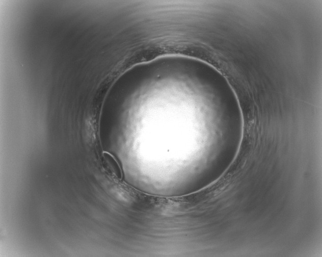 X0000069360772200605150915