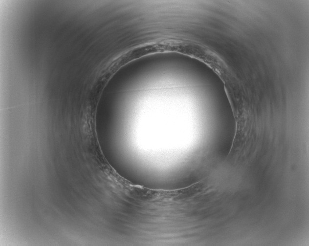 X0000069360773200605150915