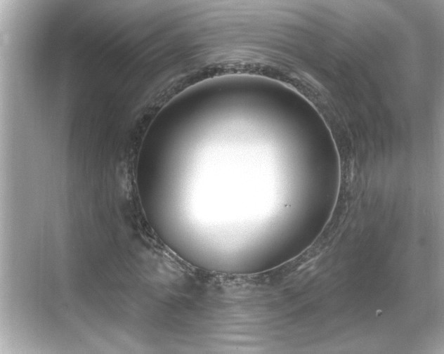 X0000069360774200605150915