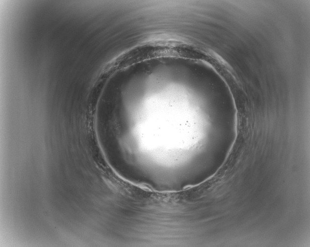 X0000069360775200605150915