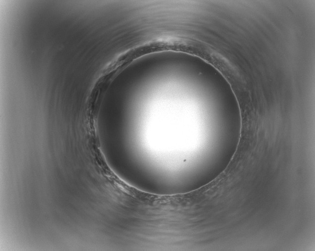 X0000069360776200605150915