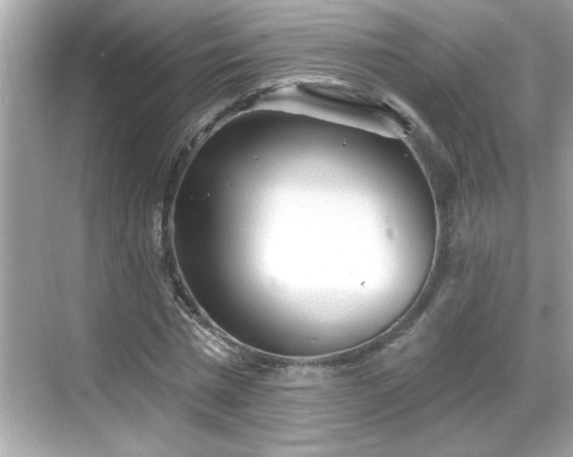 X0000069360777200605150915