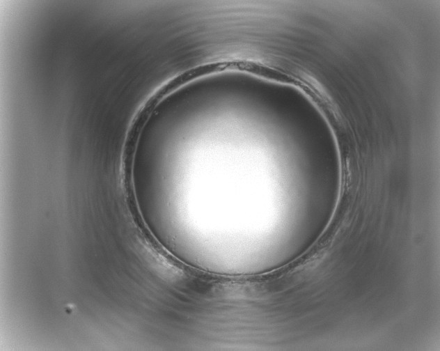 X0000069360780200605150915