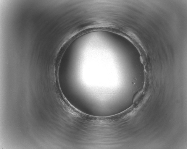 X0000069360781200605150915