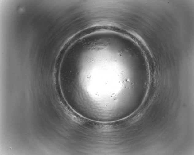 X0000069360783200605150915