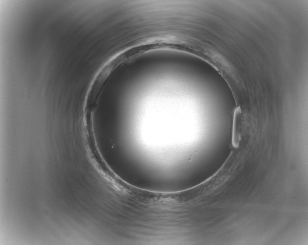 X0000069360784200605150915