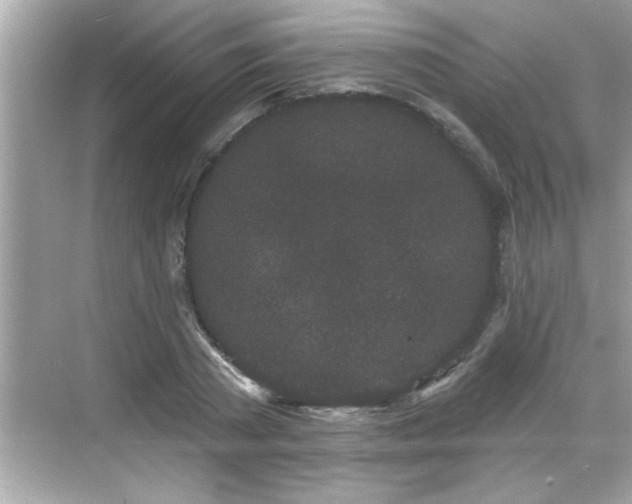 X0000069360785200605150915