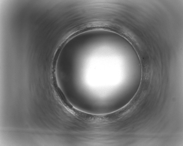 X0000069360786200605150915