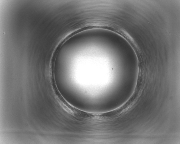 X0000069360787200605150915