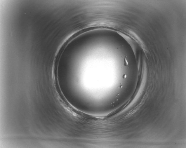 X0000069360788200605150915