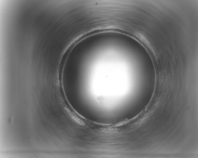 X0000069360789200605150915