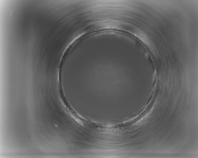 X0000069360790200605150915