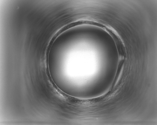 X0000069360791200605150915