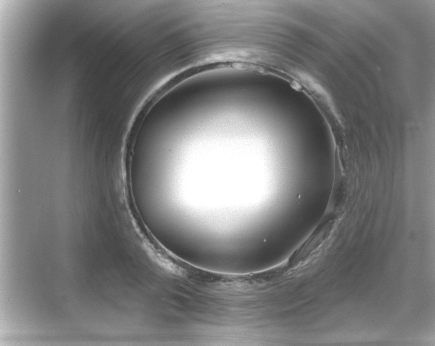 X0000069360792200605150915