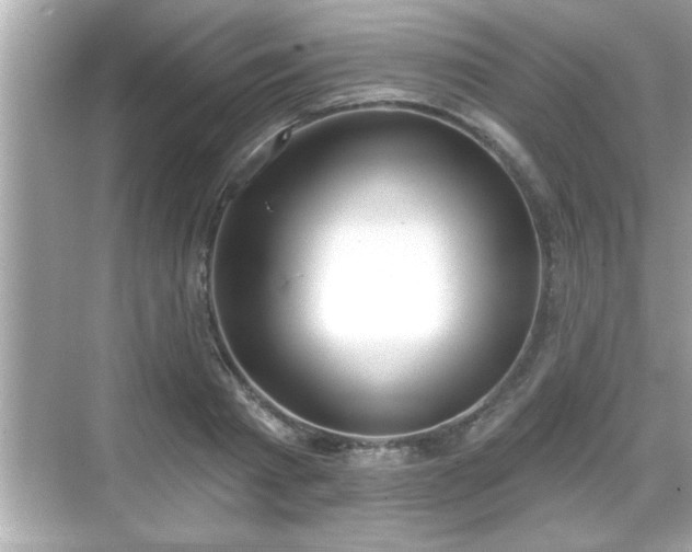 X0000069360793200605150915