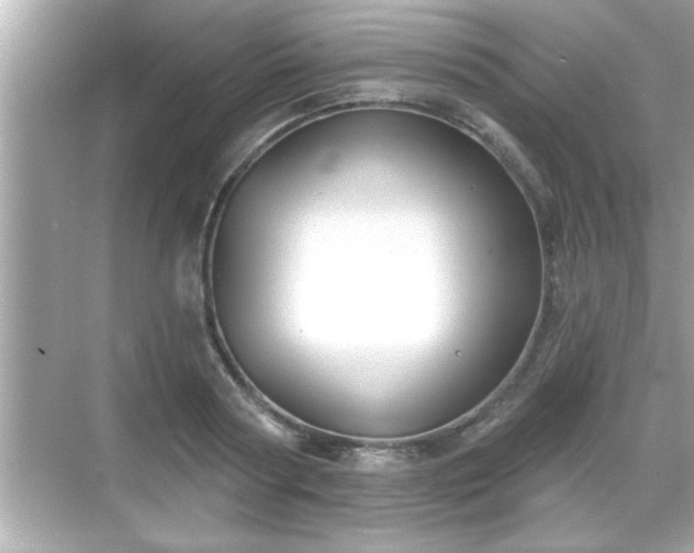 X0000069360794200605150915