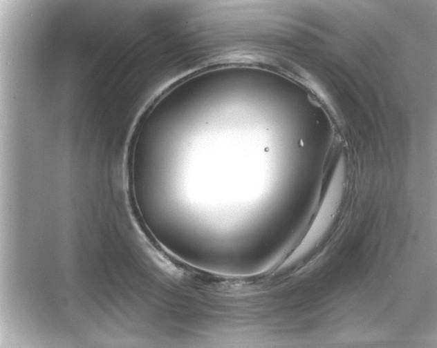 X0000069360795200605150915