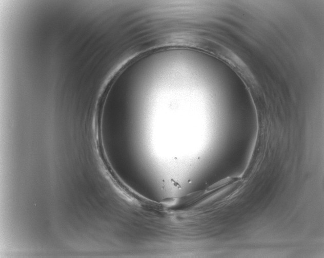 X0000069360796200605150915