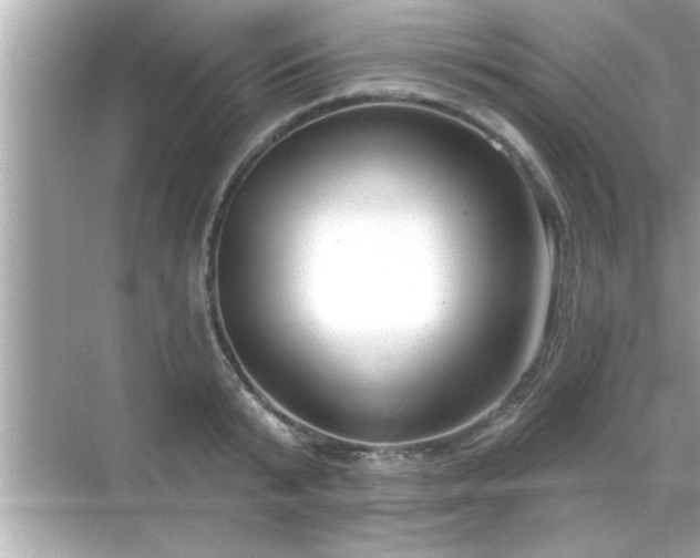 X0000069360799200605150915